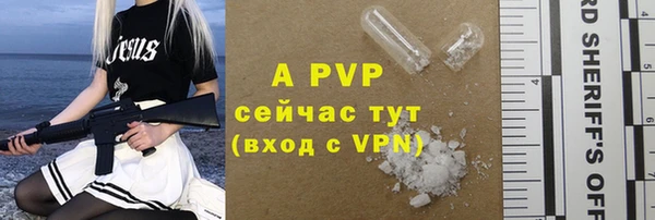 индика Новокубанск