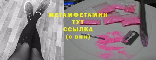 индика Новокубанск