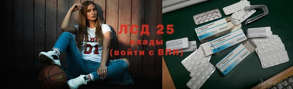 индика Новокубанск