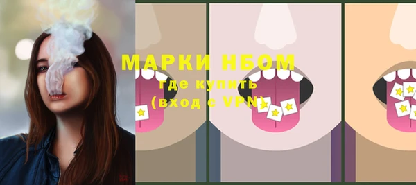 индика Новокубанск