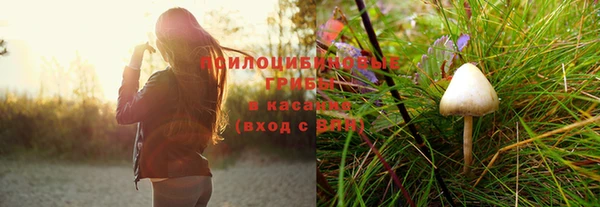 индика Новокубанск