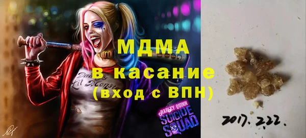 индика Новокубанск