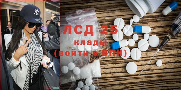 индика Новокубанск
