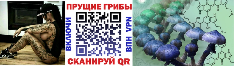 Галлюциногенные грибы Psilocybine cubensis  hydra вход  Суоярви 