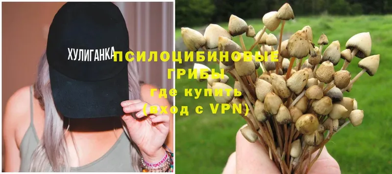 hydra ТОР  где купить наркоту  Суоярви  Псилоцибиновые грибы MAGIC MUSHROOMS 